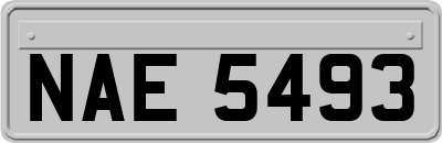 NAE5493