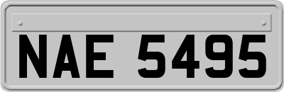 NAE5495