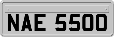 NAE5500