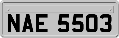 NAE5503