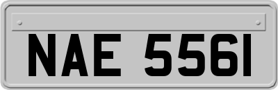 NAE5561