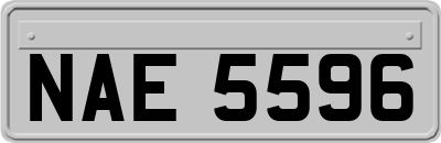 NAE5596