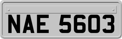 NAE5603