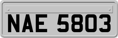 NAE5803