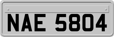 NAE5804