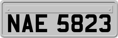 NAE5823