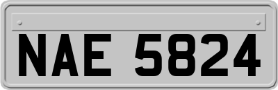 NAE5824