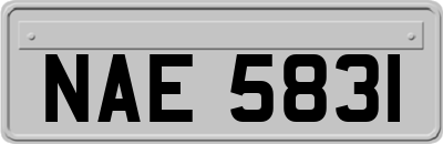 NAE5831