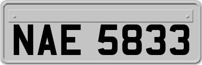 NAE5833