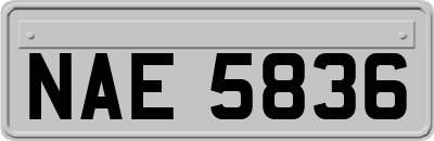 NAE5836