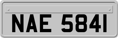 NAE5841