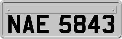 NAE5843