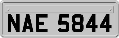 NAE5844