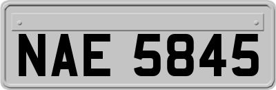 NAE5845