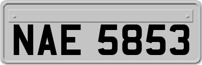 NAE5853