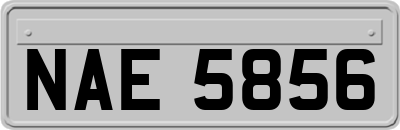 NAE5856