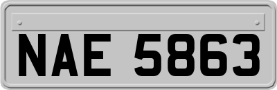 NAE5863