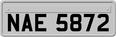 NAE5872