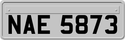 NAE5873