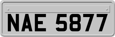 NAE5877