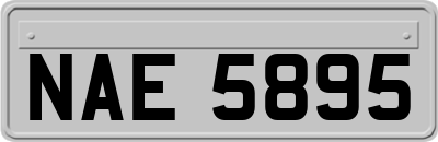 NAE5895