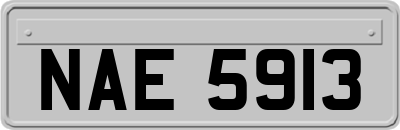 NAE5913