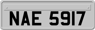 NAE5917