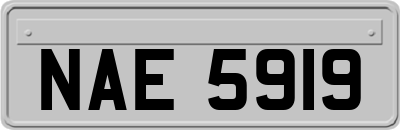 NAE5919