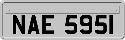 NAE5951