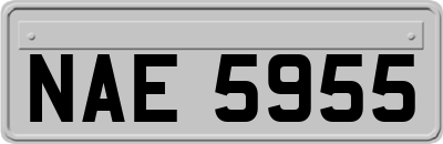 NAE5955