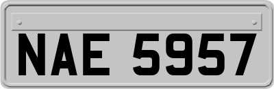 NAE5957