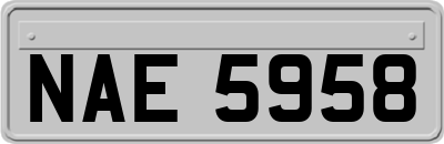 NAE5958