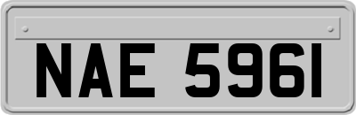 NAE5961