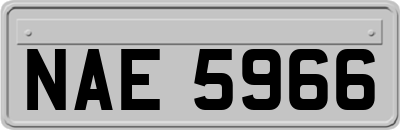 NAE5966