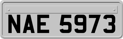 NAE5973