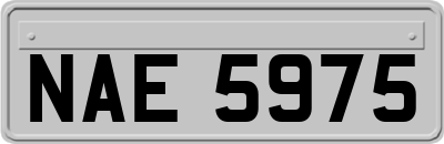 NAE5975