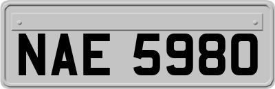 NAE5980