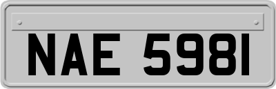 NAE5981