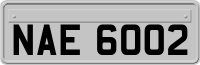 NAE6002