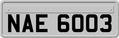 NAE6003