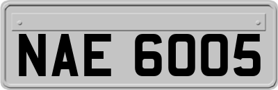 NAE6005