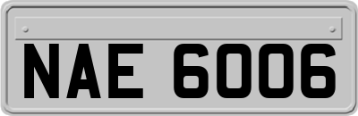 NAE6006