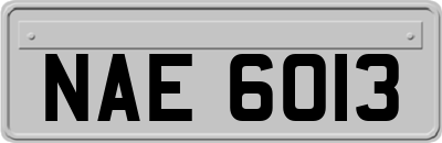 NAE6013