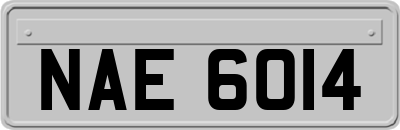 NAE6014