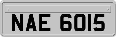 NAE6015