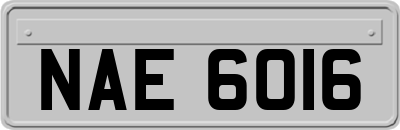 NAE6016