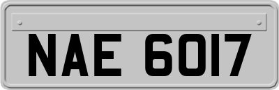 NAE6017