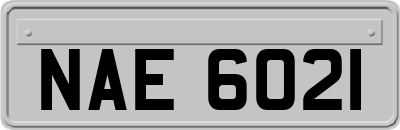 NAE6021