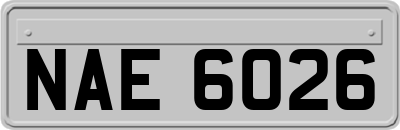 NAE6026