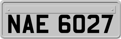 NAE6027